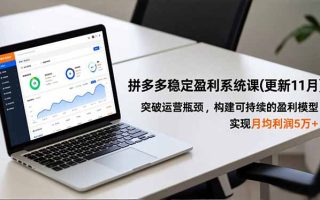 拼多多稳定盈利系统课(更新11月