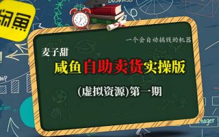 麦子甜咸鱼自助卖货实操版(虚拟资源)一个会自动搞钱的机器
