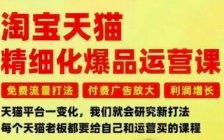 淘宝天猫精细化爆品运营课，免费流量打法-付费广告放大-利润增长-三大核心痛点，一次全部解决
