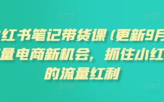 小红书笔记带货课(更新25年12月)流量电商新机会，抓住小红书的流量红利