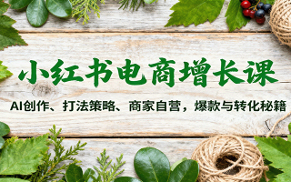 小红书电商增长课：AI创作、打法策略、商家自营，爆款与转化秘籍