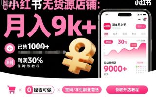小红书无货源店铺项目，简单易上手，月入9k+，保姆级教程
