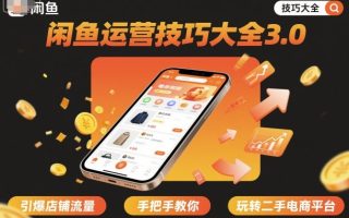 闲鱼运营技巧大全3.0，引爆店铺流量，手把手教你玩转二手电商平台