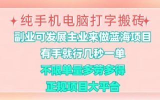 纯手机电脑打字搬砖，有手就行，几秒一单，多劳多得，正规项目大平台【揭秘】