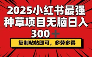 2025小红书最强种草项目，无脑日入300+，复制粘帖即可，多劳多得