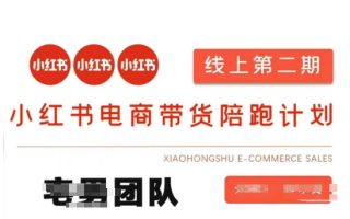 小红书电商带货课2期，月利润20个的小红书电商的有货源，无货源，虚拟产品，付费投流等整套玩法