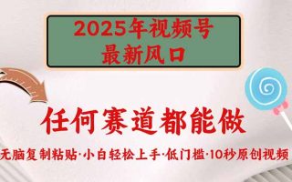 2025年视频号新风口，低门槛只需要无脑执行