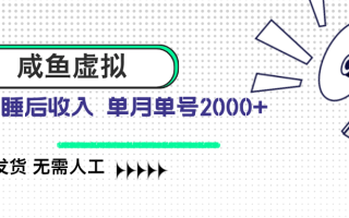 咸鱼虚拟资料 自动发货 无需人工 单月单号2000+