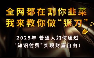 全网都在割你韭菜，我来教你做镰刀,2025普通人如何通过知识付费，实现财F自由【揭秘】