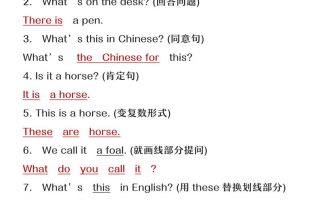 【2025秋新版】六年级上册英语期末复习句型转换巩固练习