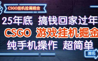 25年底搞钱回家过年，CSGO游戏挂机掘金，纯手机操作超简单