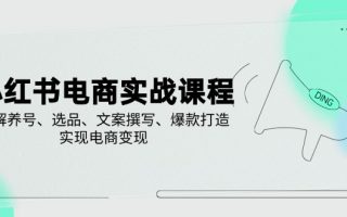 小红书电商实战课程，详解养号、选品、文案撰写、爆款打造，实现电商变现
