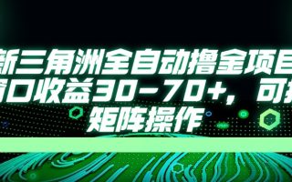 最新三角洲全自动撸金项目，单窗口收益30-70+，可批量矩阵操作