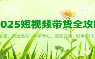 2025短视频带货全攻略：爆款文案，快速起号，种草计划，星图变现，新手零门槛上手