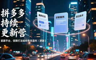 拼多多持续更新营，最新玩法、诊断案例、前沿技术，紧跟平台，保障打法始终有效盈利(更新