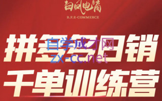 白凤电商·拼多多日销千单训练营(更新11月)