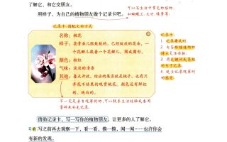 三下语文期末复习习作写作技巧及范文分析（41页）