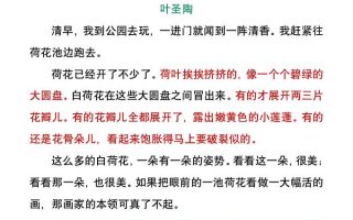 小学生暑假每日晨读美文：叶圣陶《荷花》-小升初语文