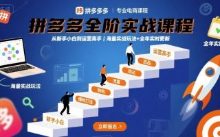 拼多多全阶实战课程，从新手小白到运营高手，海量实战玩法+全年实时更新【2025年10月更新】