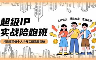 超级IP实战陪跑班，人设定位、爆款文案、直播运营，打造高价值个人IP并实现流量突破