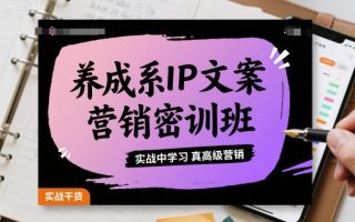 养成系IP文案营销密训班，实战中学习真高级营销