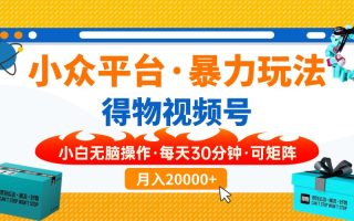 小众平台暴力玩法，一键搬运爆款视频，可矩阵小白无脑操作，每天30分钟…
