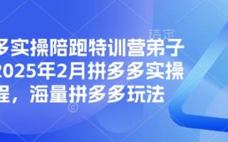 拼多多实操陪跑特训营弟子班，2025年2月拼多多实操课程，海量拼多多玩法