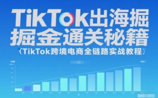 TikTok出海掘金通关秘籍，TikTok跨境电商全链路实战教程