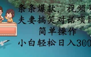 条条爆款，视频号夫妻搞笑对话项目，简单操作，小白轻松日入3张+