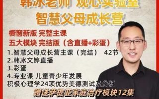 韩冰智慧父母成长营计划观心儿童孩子心里教育课程资料