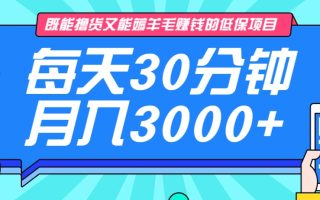 既能撸货又能赚钱的长期低保项目，每天30分钟，多号百分百稳定月入3000+！