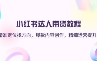 小红书达人带货教程：精准定位找方向，爆款内容创作，精细运营提升
