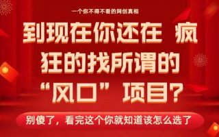 马上26年了，你还在找所谓的风口项目？别傻了，看完这个你全都懂了！【揭秘】