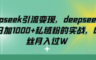 deepseek引流变现，deepseek被动日加1000+私域粉的实战，0粉丝月入过W