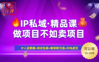 2025年“IP私域·密训精品课”，日赚3000+小白避坑年赚百万，暴力引流…