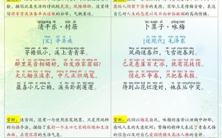 四下语文全册重点知识归纳