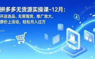 拼多多无货源实操课-12月：开店选品、无需囤货、推广放大、原价上活动，轻松月入过万