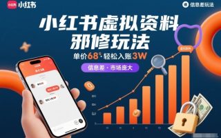 小红书虚拟资料邪修玩法，单价68，轻松入账3W，信息差玩法，市场庞大