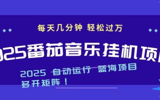 2025最新挂机番茄音乐项目，每天几分钟，日入1000＋