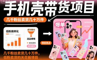 手机壳带货项目，几千粉丝卖货几十万件，短视频低粉卖货的天花板项目