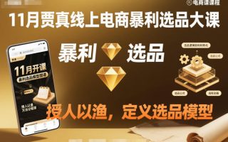 11月贾真线上电商暴利选品大课，授人以渔，定义选品模型