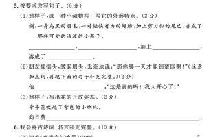 25春三年级下册语文期中阶段测评卷（含答案8页）