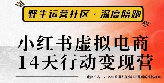 小红书虚拟电商14天变现训练营3.0，​虚拟产品，2025年普通人在小红书最后的搞钱机会